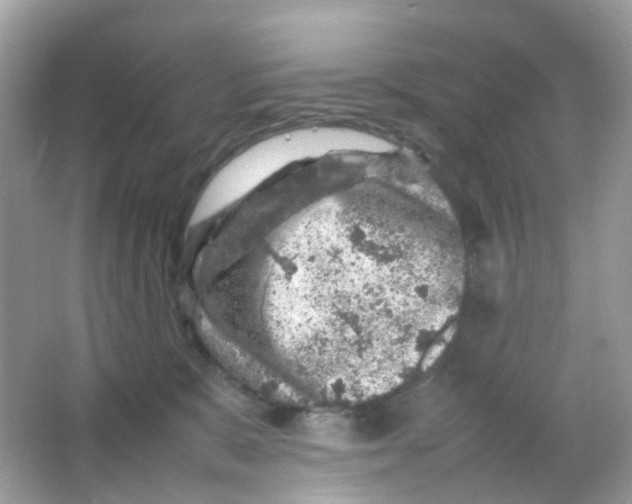 X0000065980327200603241946