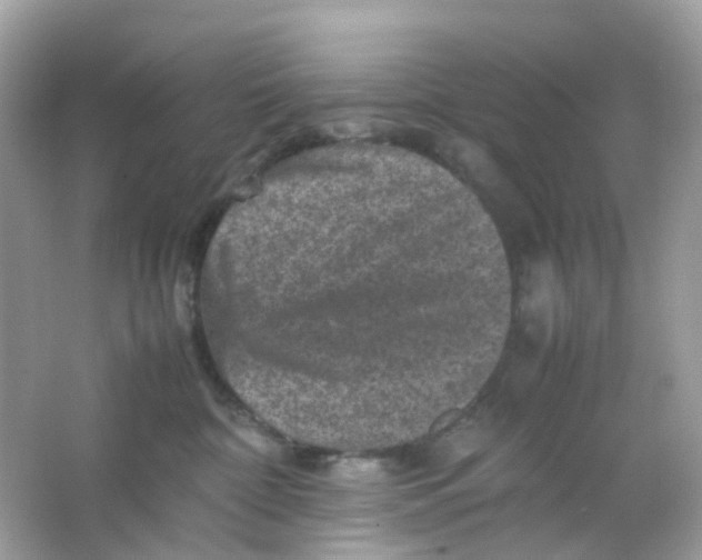 X0000065980332200603241946