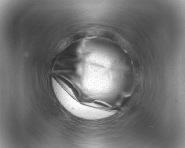 X0000065980333200603241946