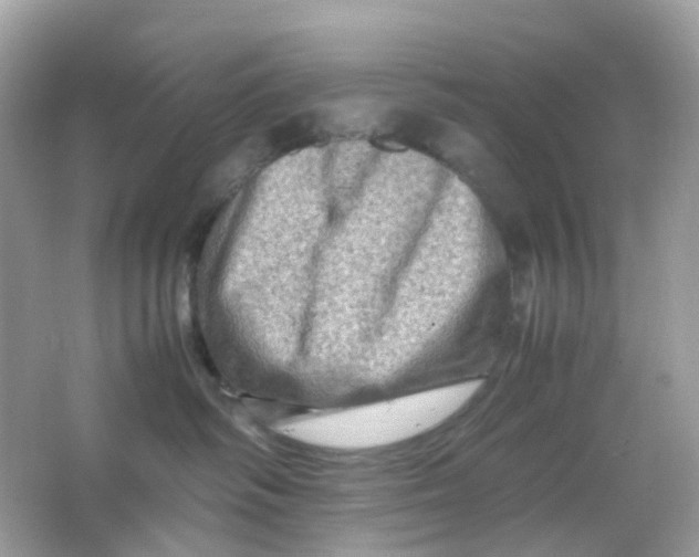 X0000065980334200603241946