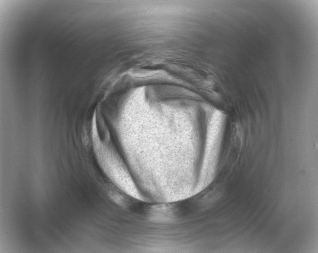 X0000065980335200603241946