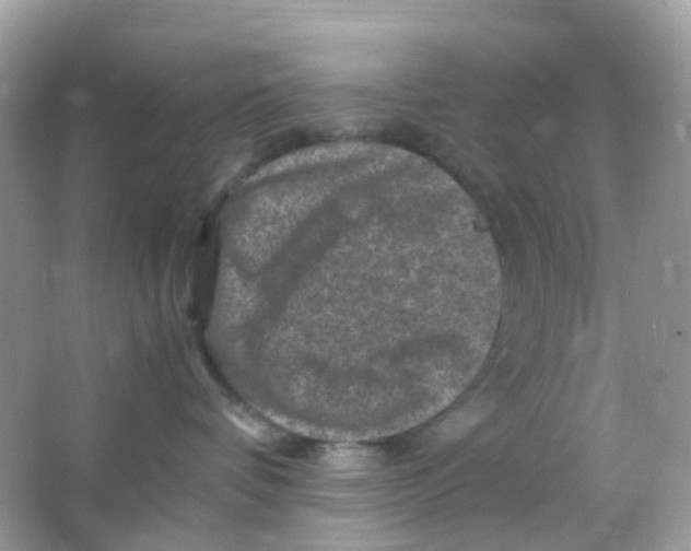 X0000065980336200603241946