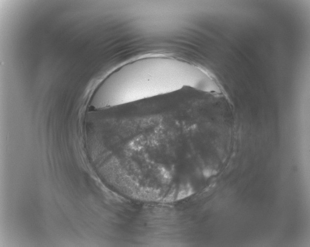 X0000065980337200603241945