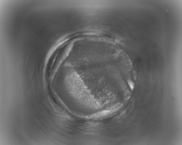 X0000065980343200603241945