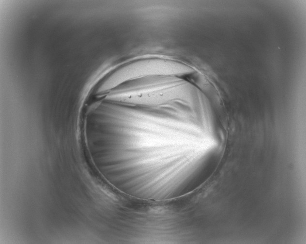 X0000065980344200603241945