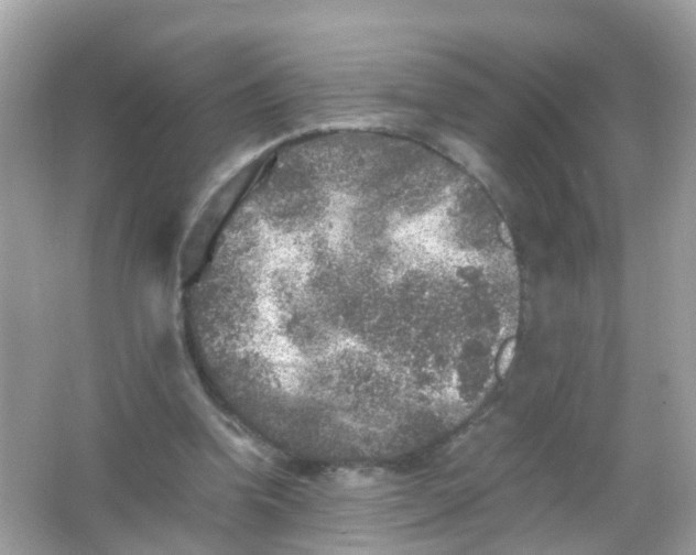 X0000065980346200603241945