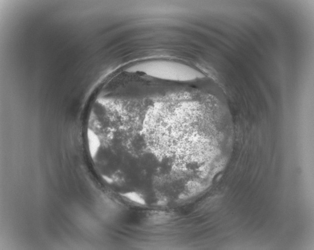 X0000065980347200603241945