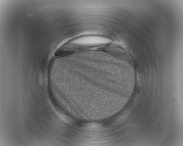 X0000065980348200603241945