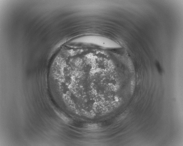 X0000065980349200603241945