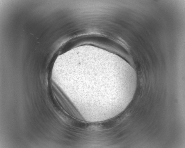 X0000065980350200603241945