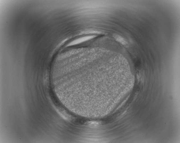 X0000065980352200603241945