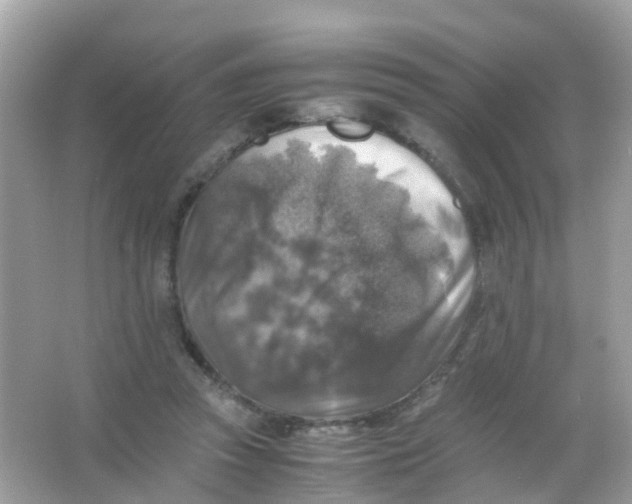 X0000065980353200603241945