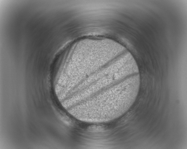 X0000065980354200603241945