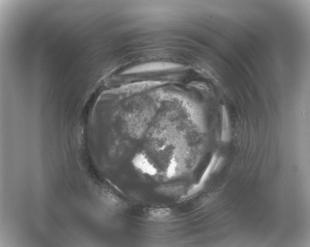 X0000065980355200603241945