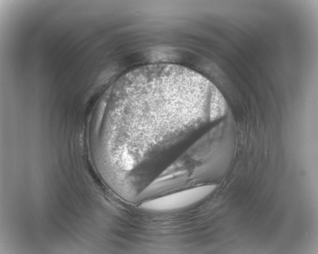 X0000065980357200603241945