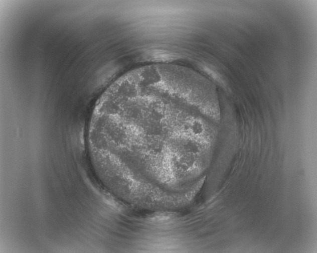 X0000065980358200603241945