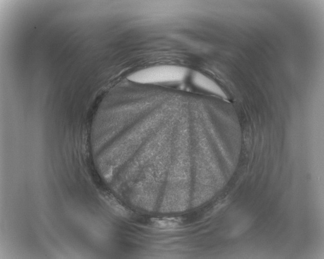 X0000065980359200603241945