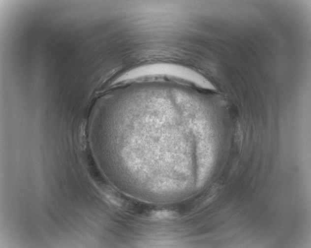 X0000065980360200603241945