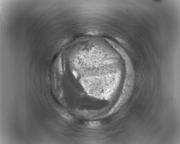 X0000065980361200603241945