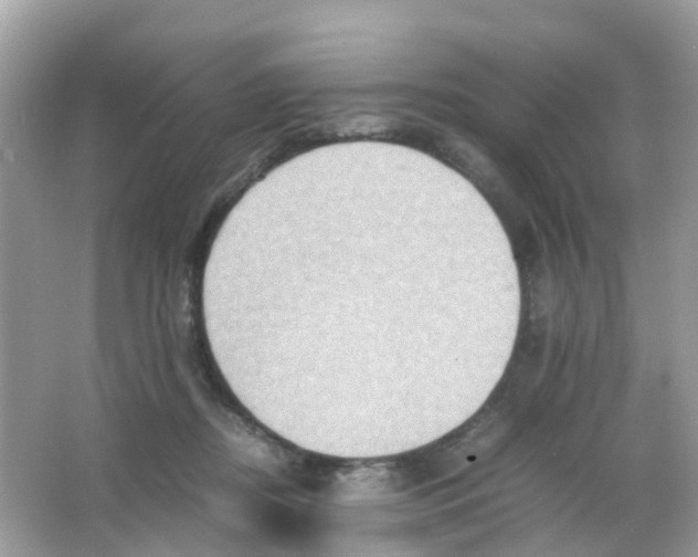 X0000065980362200603241945