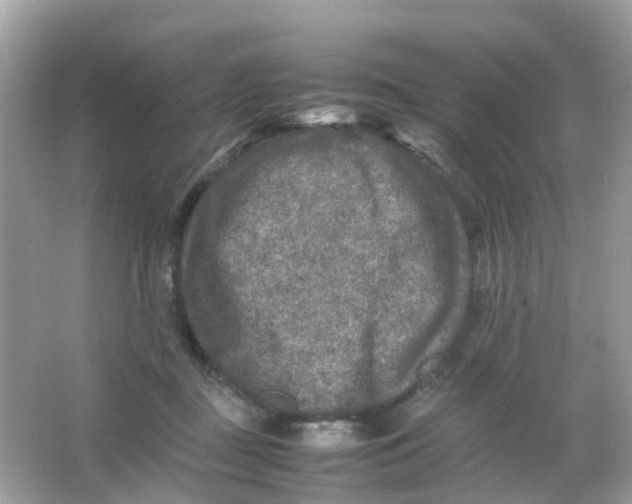 X0000065980363200603241945