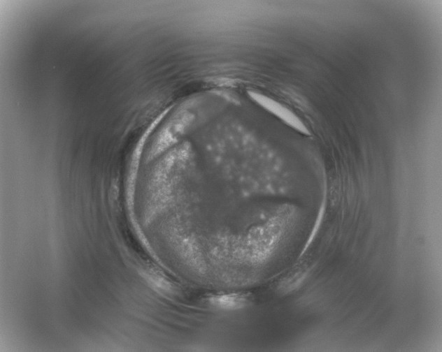 X0000065980365200603241945