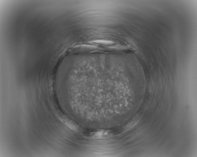 X0000065980366200603241945