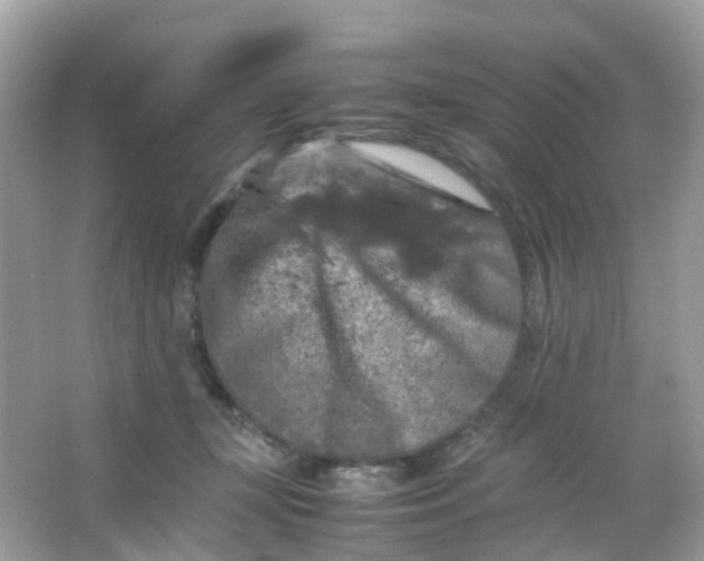 X0000065980367200603241945