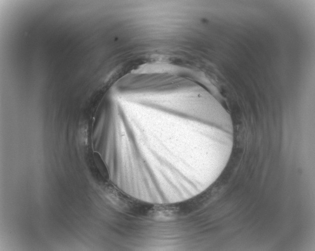 X0000065980368200603241945