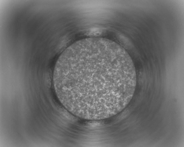 X0000065980370200603241945