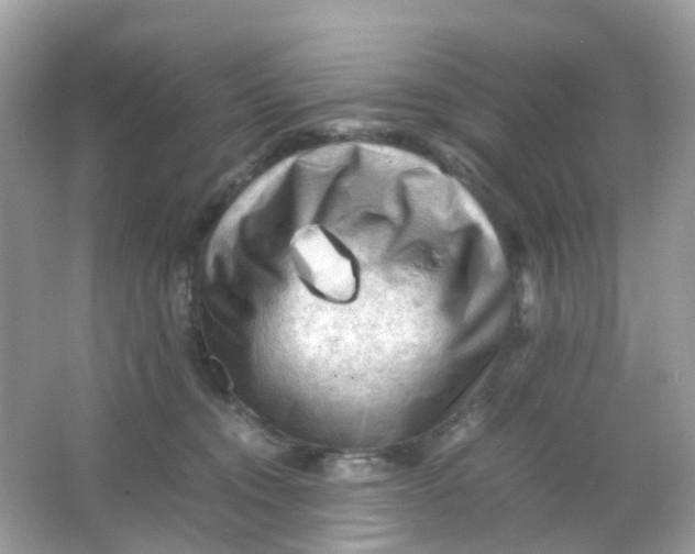 X0000065980372200603241946