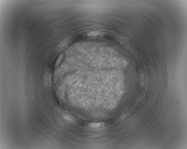 X0000065980375200603241946