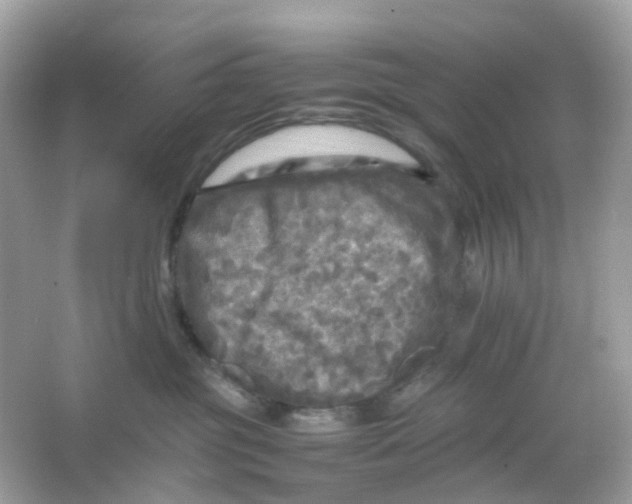 X0000065980381200603241946