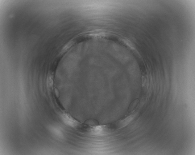 X0000065980382200603241946