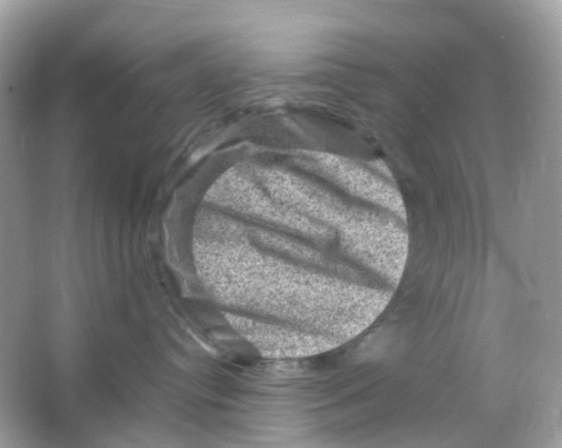 X0000065980384200603241946