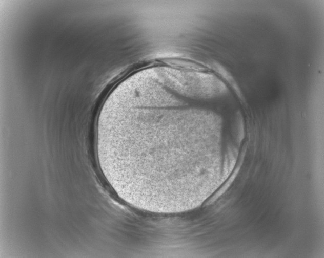 X0000065980385200603241945