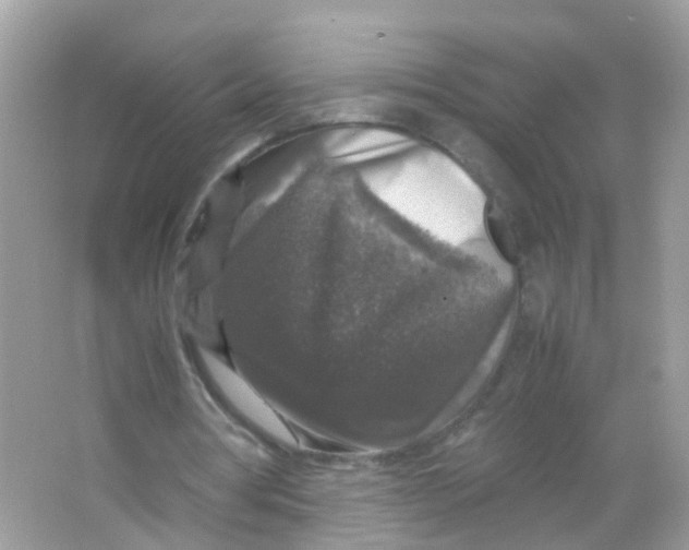 X0000065980386200603241945