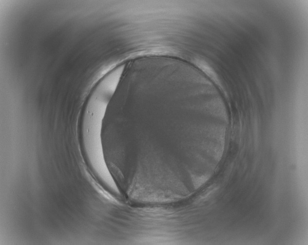 X0000065980389200603241945