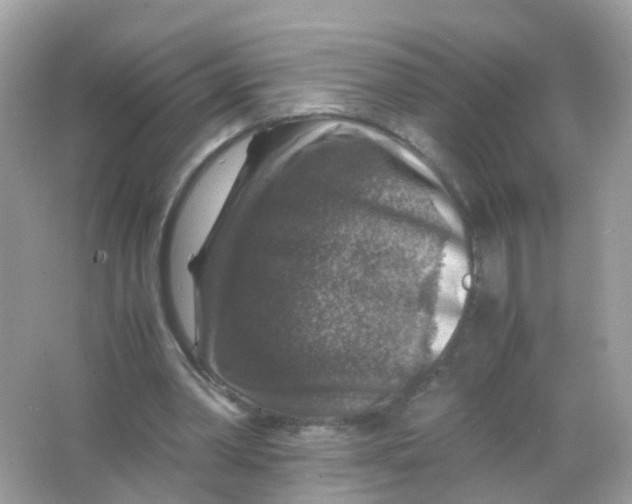 X0000065980390200603241945