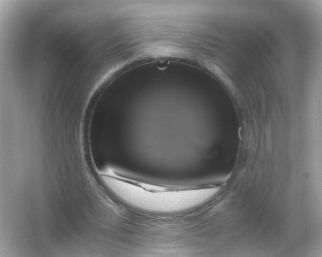 X0000065980391200603241945