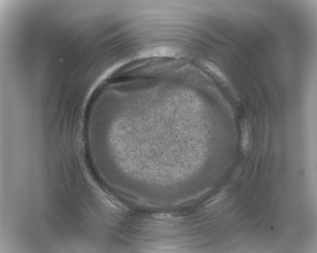 X0000065980392200603241945