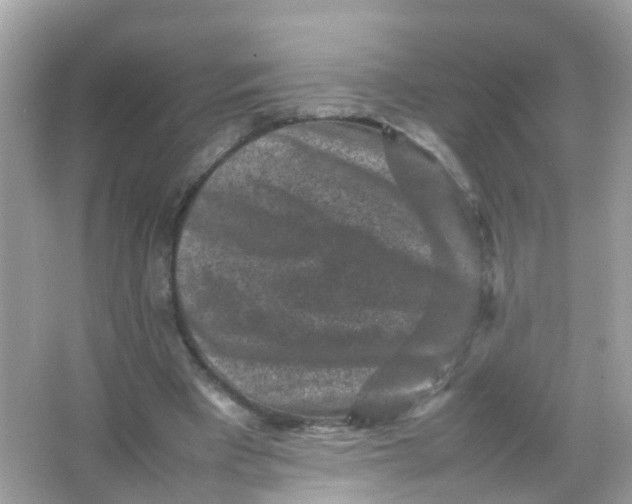 X0000065980393200603241945