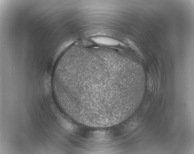 X0000065980394200603241945