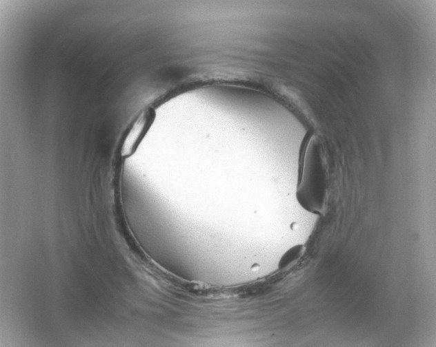 X0000065980395200603241945