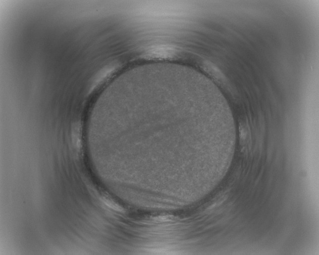 X0000065980396200603241945