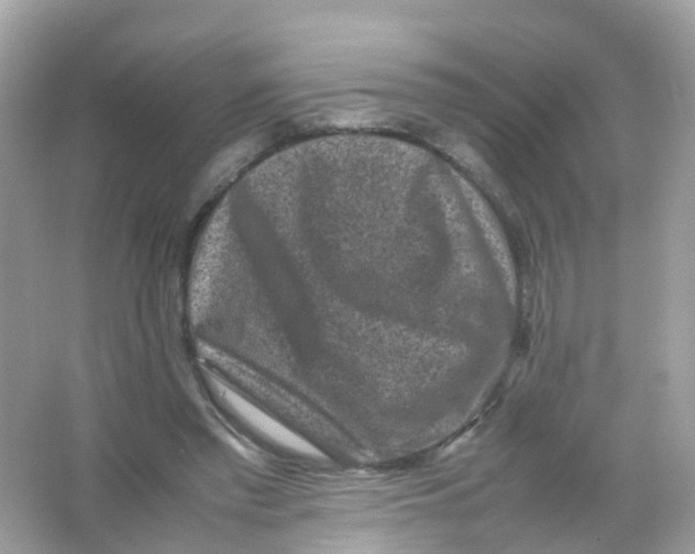 X0000065980397200603241945