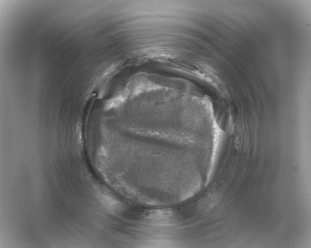 X0000065980398200603241945