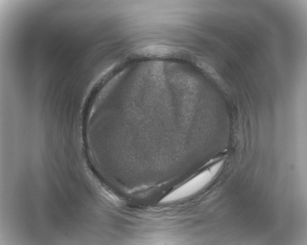 X0000065980399200603241945