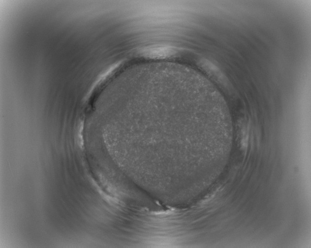 X0000065980400200603241945