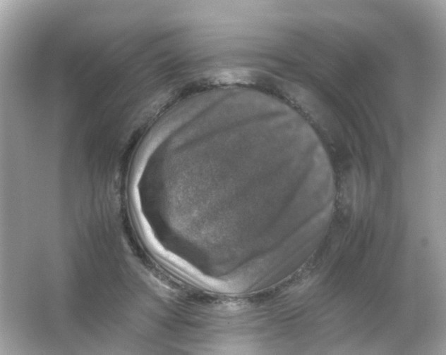 X0000065980402200603241945